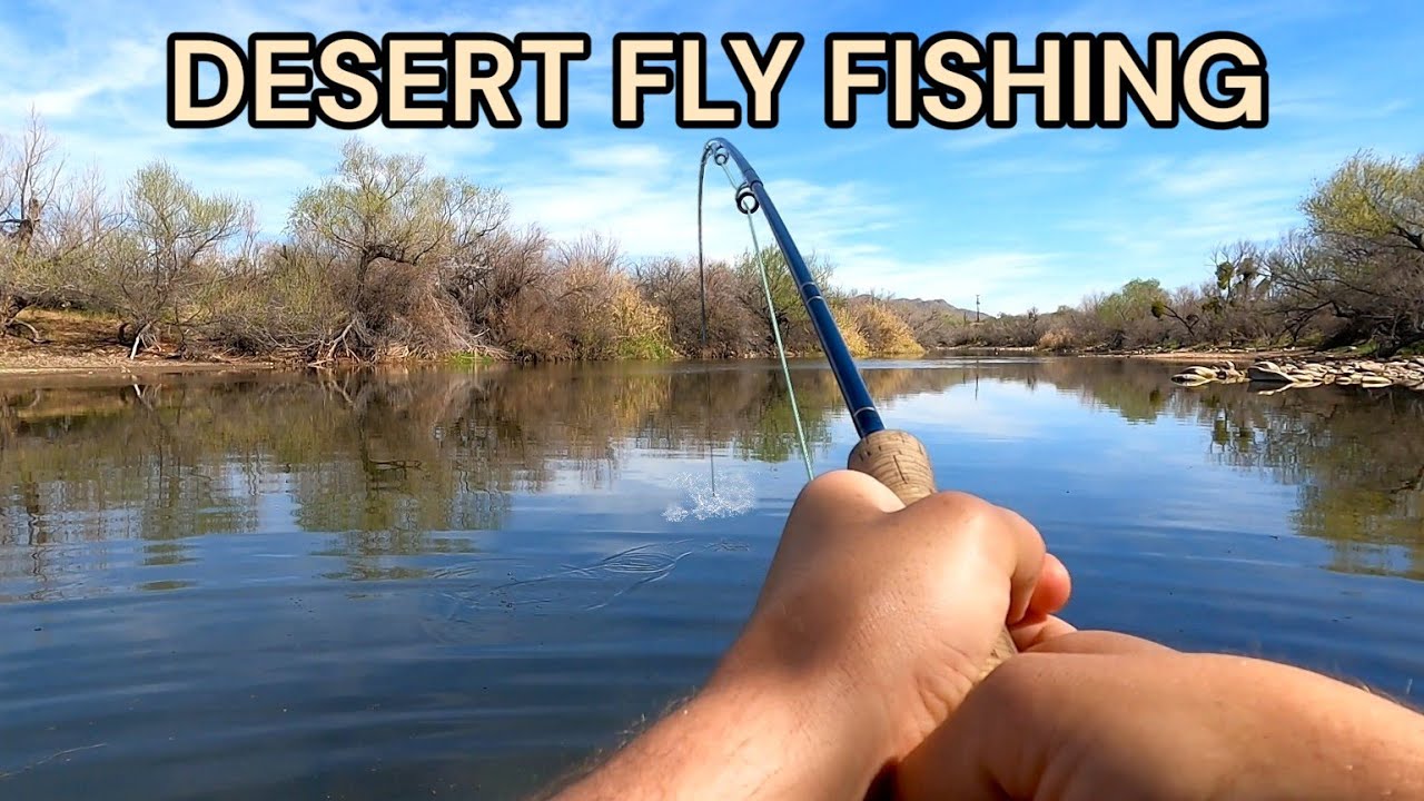 Fly Fishing a Desert River for WHATEVER Bites!
