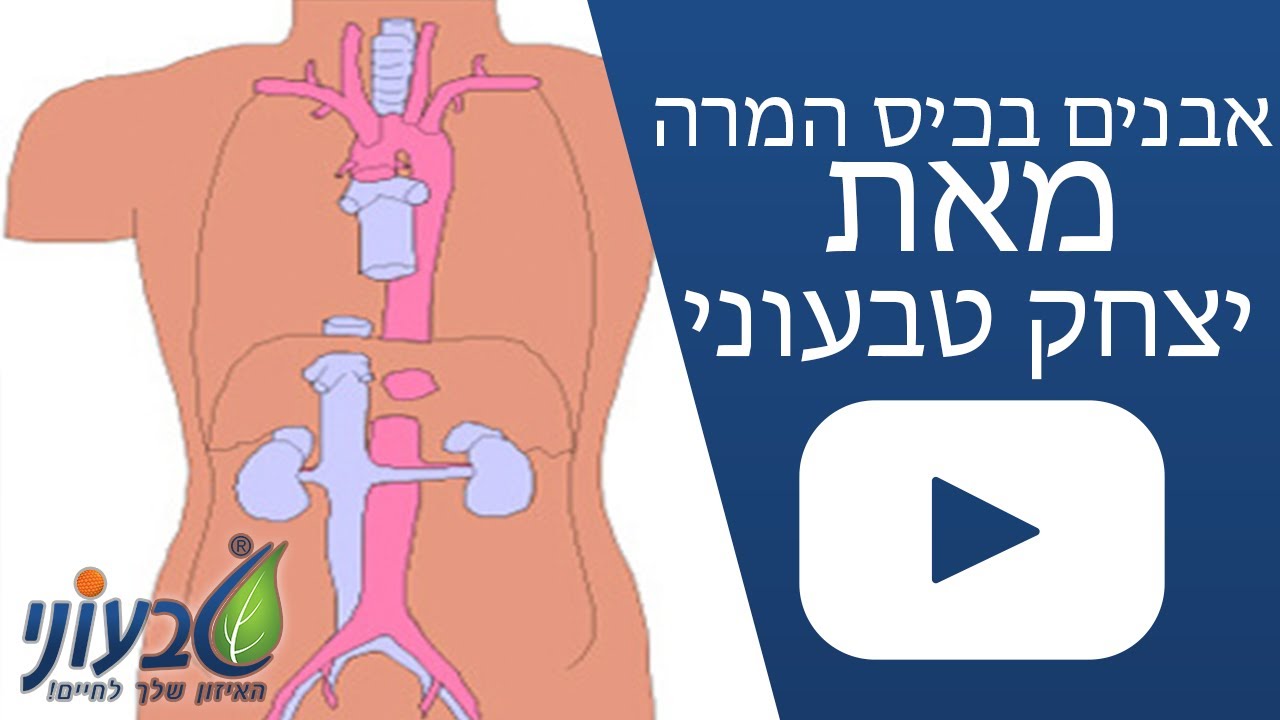 אבנים בכיס המרה