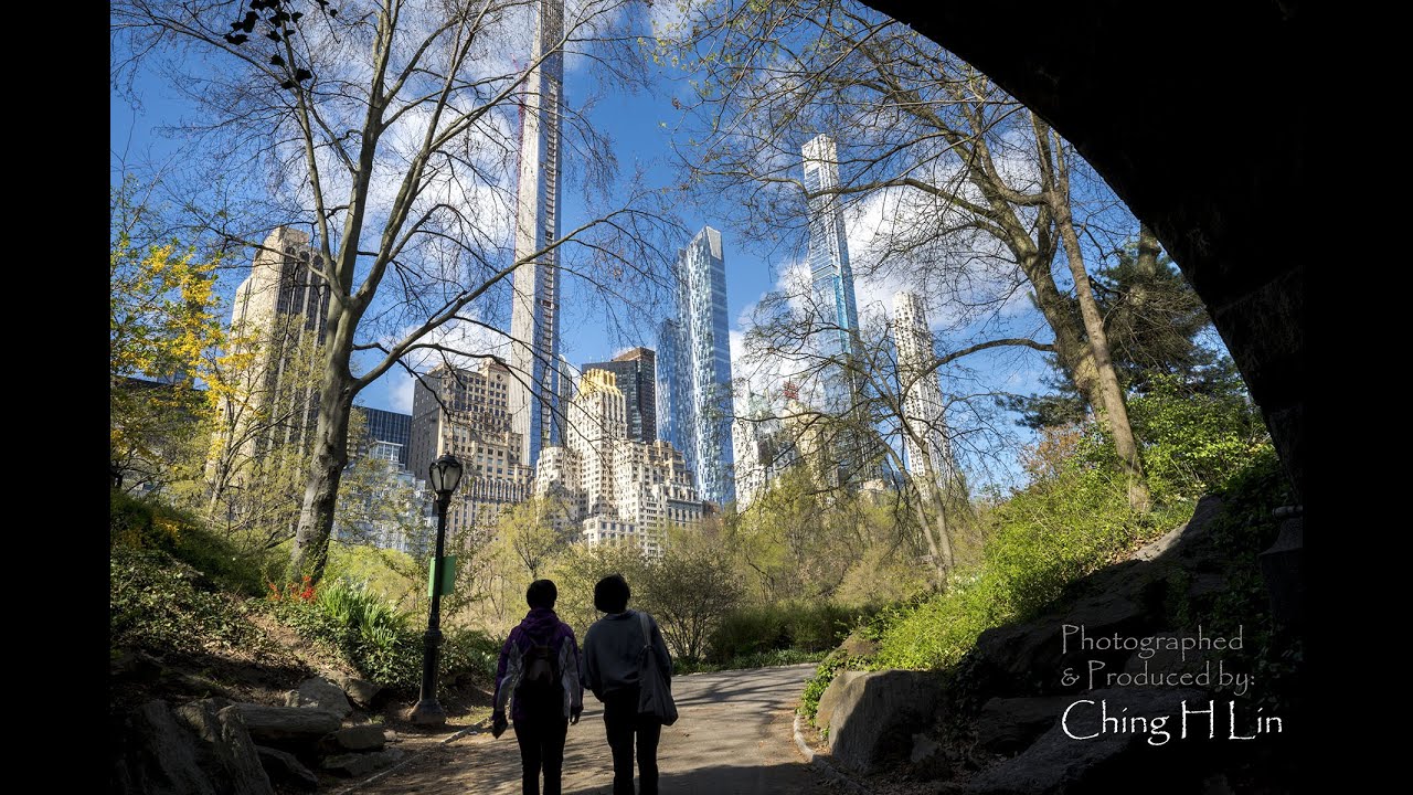 Central Park, New York - all seasons