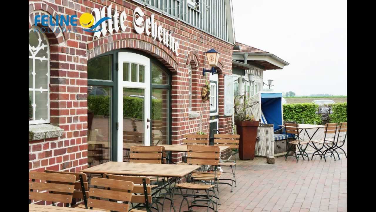 Hotel Ahoi   Kielerkanalen - Feline Holidays