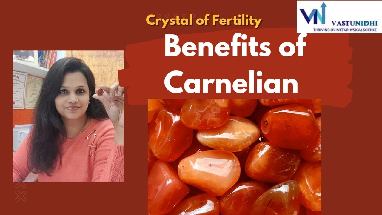 Benefits of Carnelian Crystal/Crystal of Courage and Fertility | Vaastu Nidhie