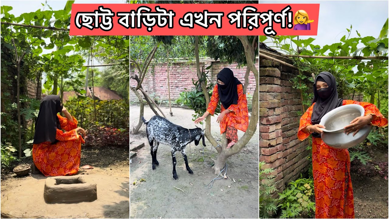 আমার ছোট্ট বাড়িটা এখন পরিপূর্ণ, আলহামদুলিল্লাহ!❤️