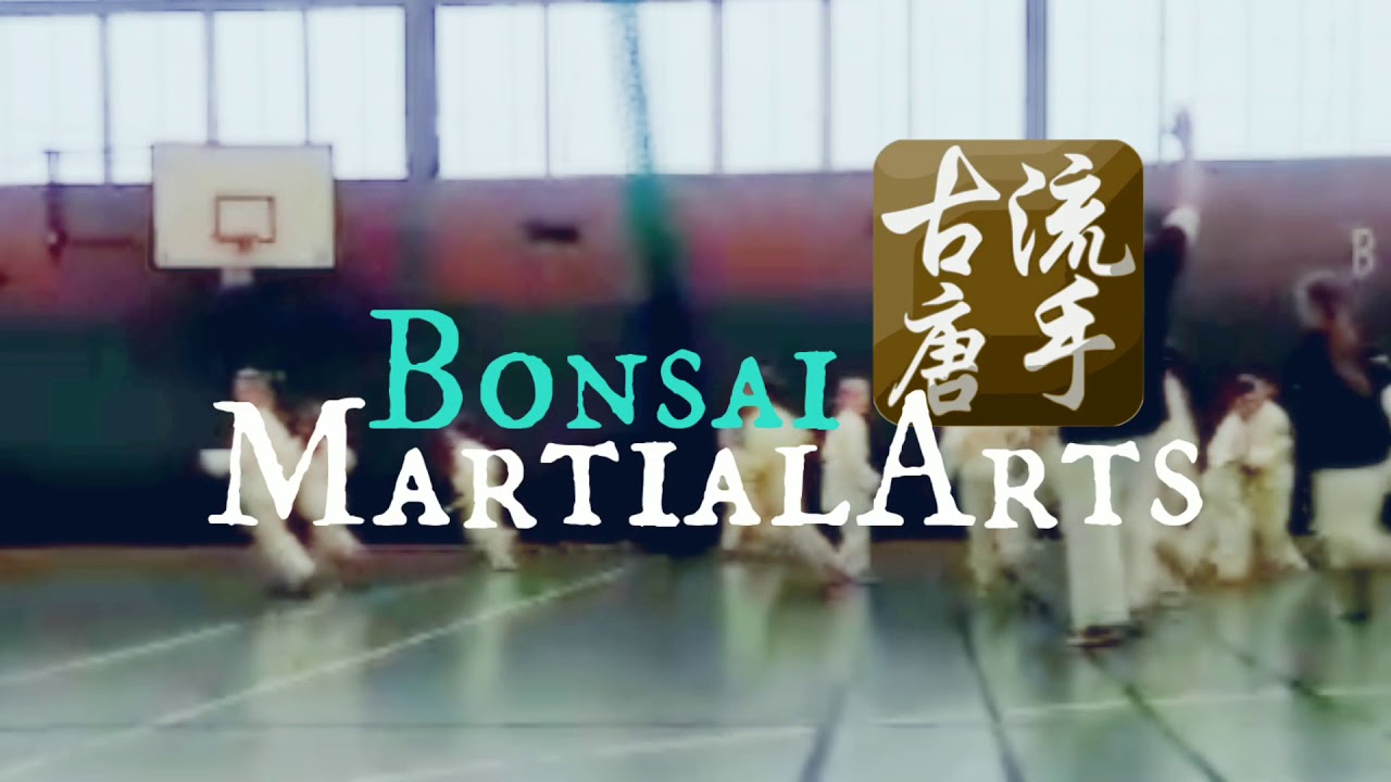Bonsai Martial Arts: Kids Karate in Central Manchester