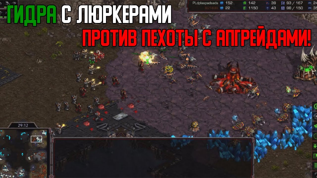 Старкрафт Т VS Z Зерг использует гидру и люркеров против террана с масс пехотой и весселями!