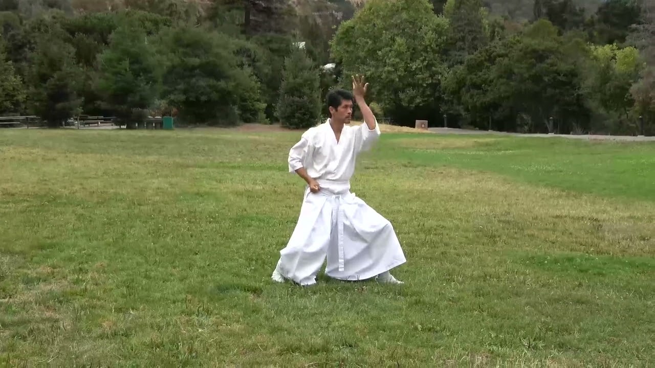 Shintaido Tensho Kata