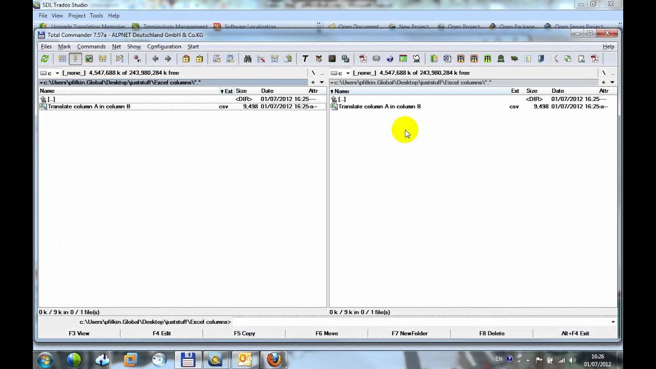 Two column excel files in SDL Trados Studio 2011