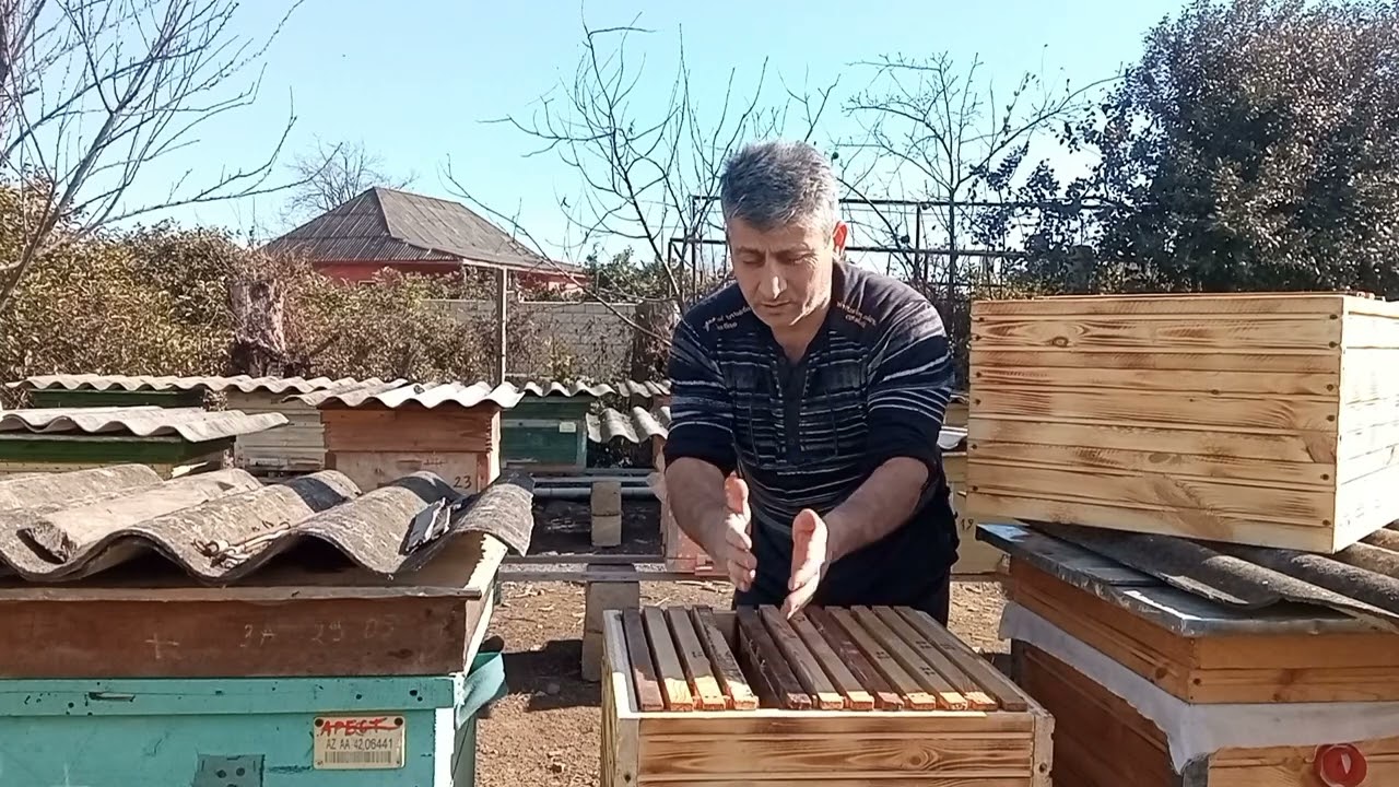 2- ci mərtəbəyə ( korpusa ) arıları nece qaldırmaq olar? 300 mm - lik çərçivəli