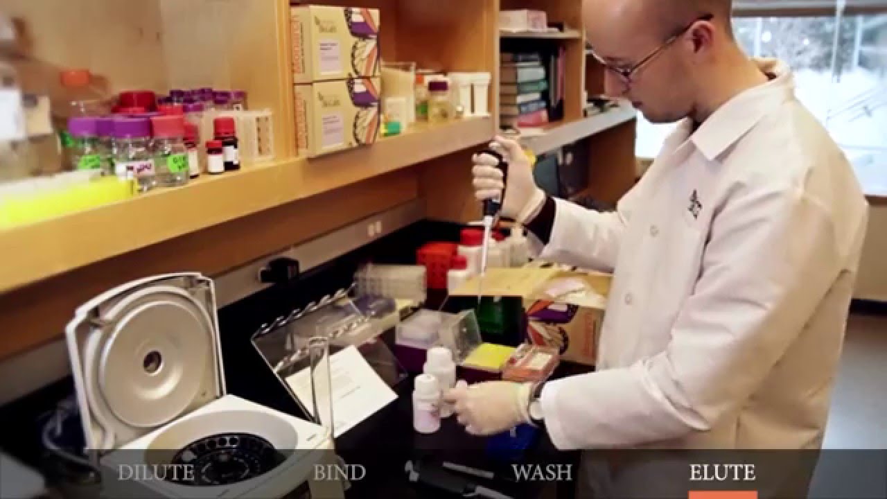 Monarch PCR & DNA Cleanup Kit Protocol