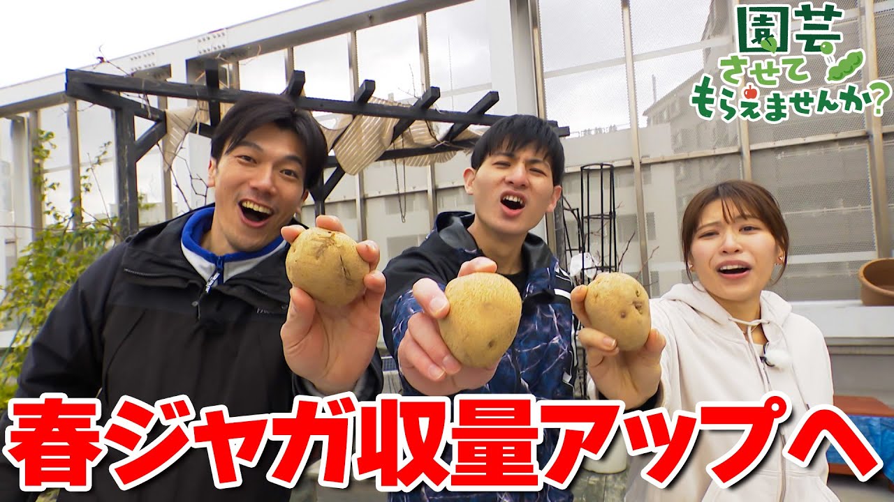 春ジャガ収量アップへ！／園芸させてもらえませんか？_131