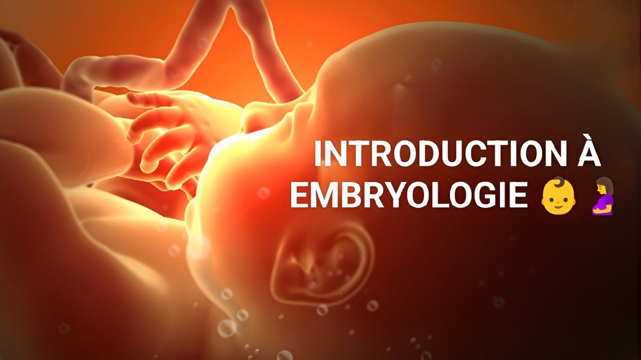 EMBRYOLOGIE👶🤰: INTRODUCTION.. 1ÈRE MÉD🩺PHARMA💊CHIR.DENT🦷