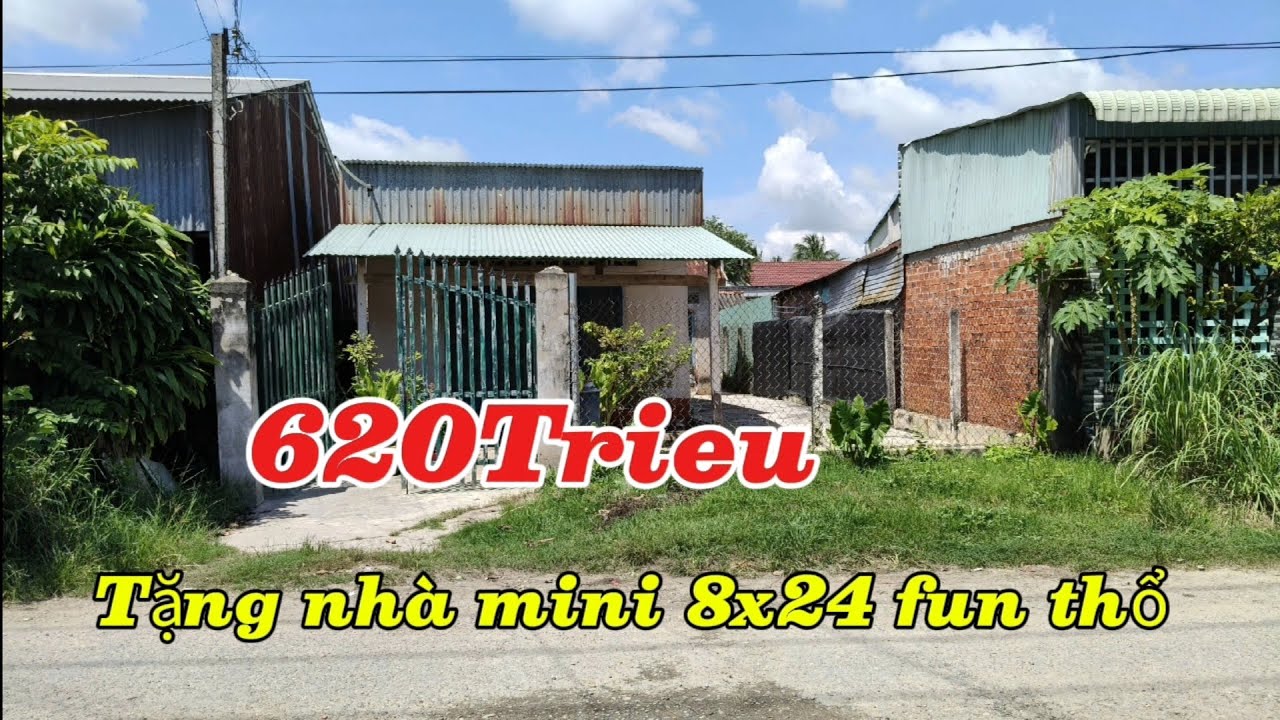 52💕 (Nhà Ngừng Bán)BÁN ĐẤT TẶNG NHÀ MI NI CẤP BỐN KHU RỪNG DẦU TIÊN THUẬN CỦ, DÂN CƯ ĐÔNG ĐÔNG KÍNH 
