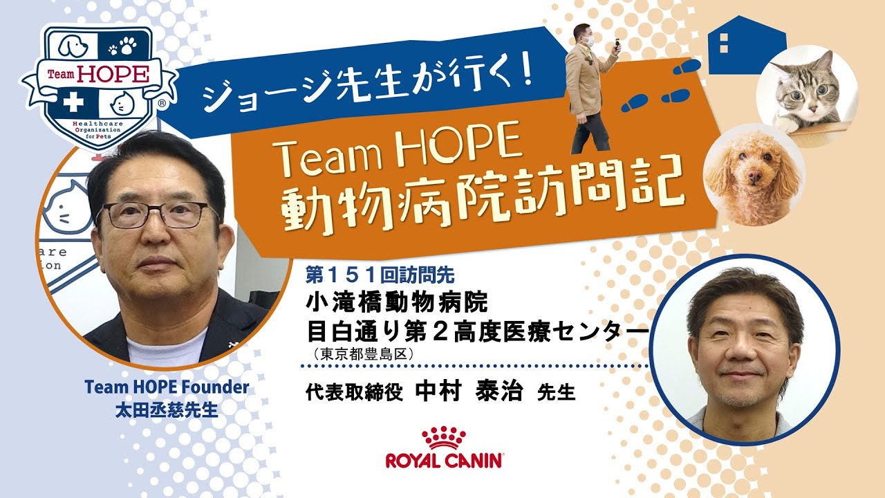 【小滝橋動物病院 新目白通り第2高度医療センター】ジョージ先生が行く！ Team HOPE 動物病院訪問記