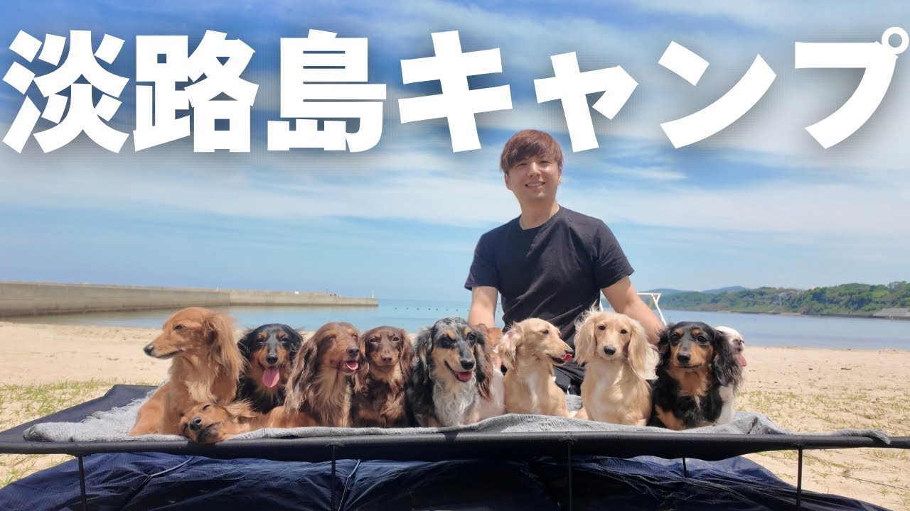 【犬7頭と暮らすおっさん】犬を11頭連れてキャンプ。大雨の海辺でキャンプは成功するのか…!?【犬連れキャンプ】