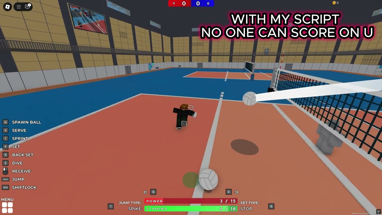 BE A PRO IN VOLLEYBALL 4.2