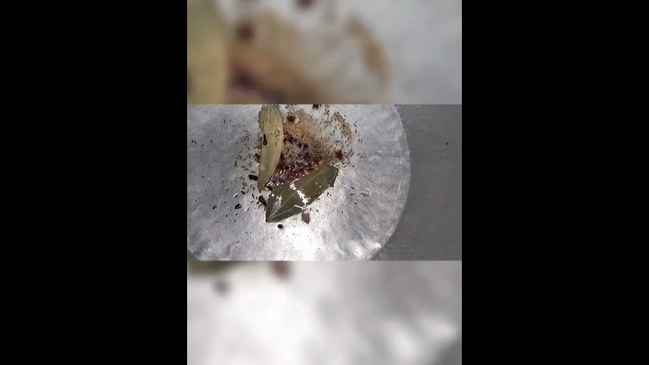 Chicken biryani made with kitchen by Nausheen 