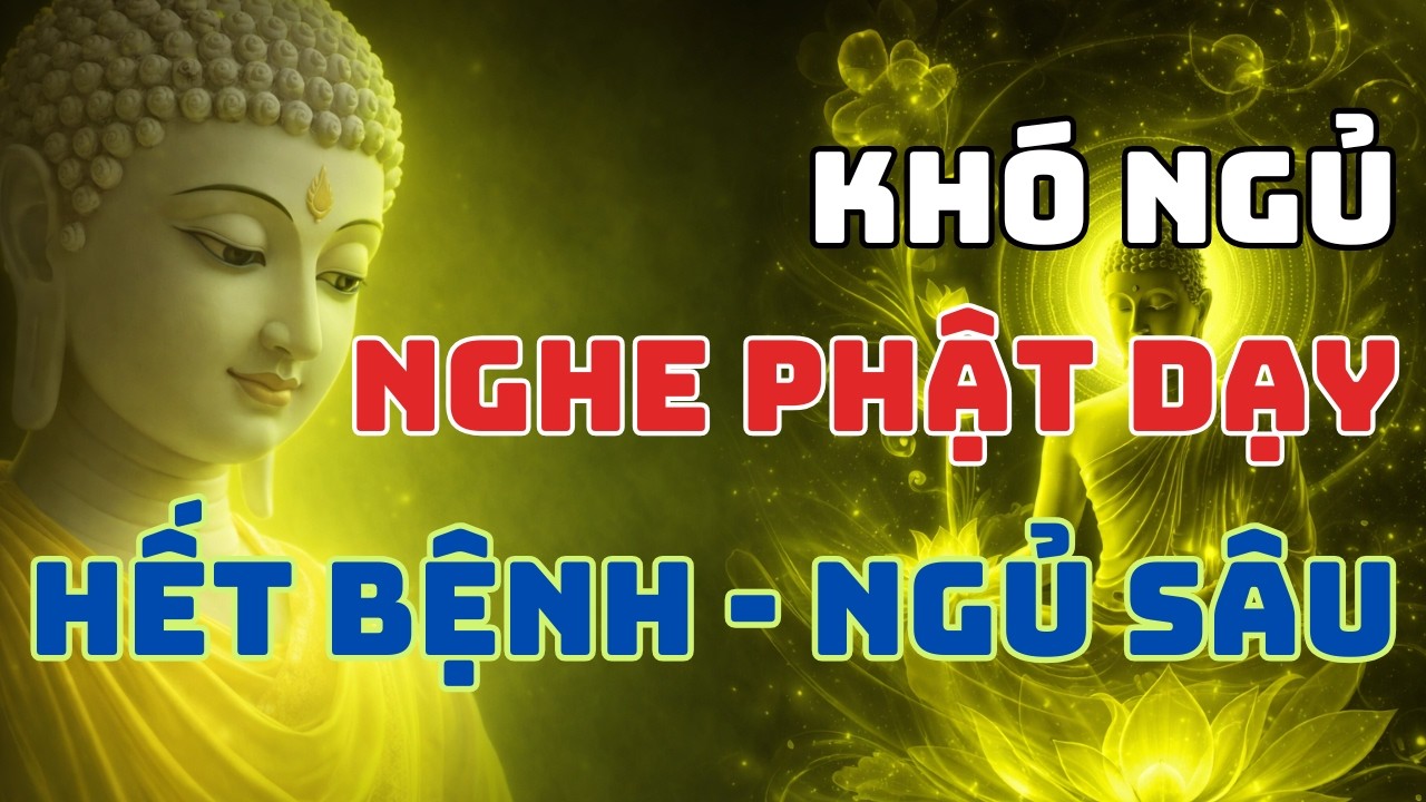 Mỗi Tối Nghe Phật Dạy  Gột Rửa Phiền Não, Khổ Đau Hóa Bình An
