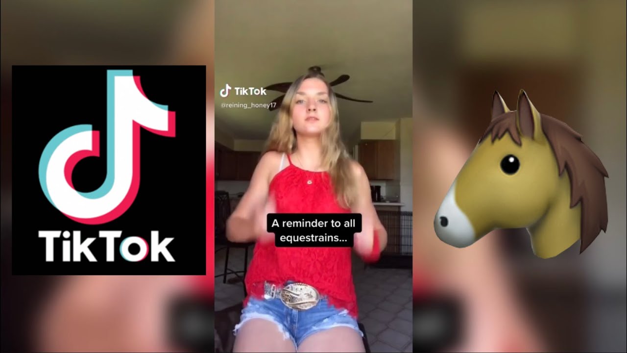 TikToks For Equestrians 2 🐴
