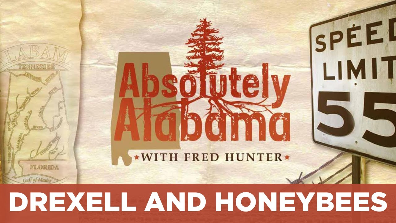 Absolutely Alabama: Drexell and Honeybees