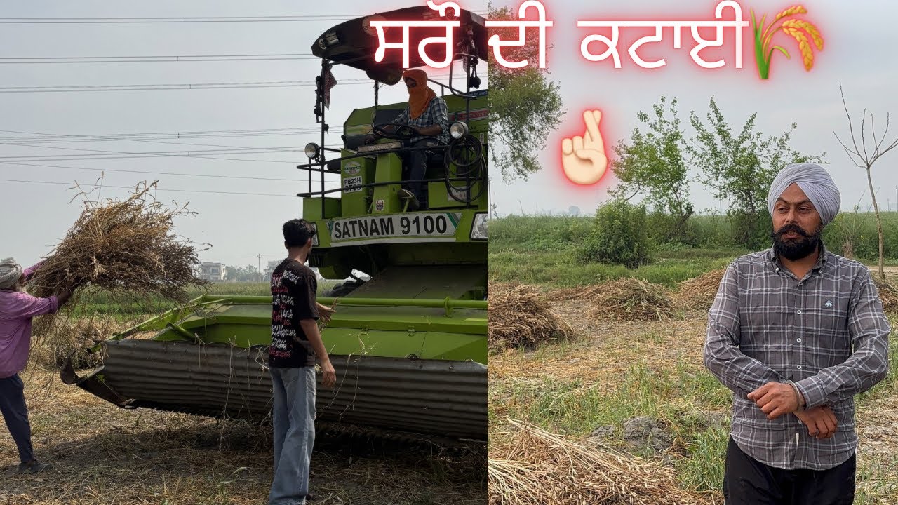 ਅੱਜ ਕੱਢਣ ਲੱਗੇ ਹਾਂ ਸਰੌ ਕੰਬਾਈਨ ਨਾਲ | Mustard Harvest 2026