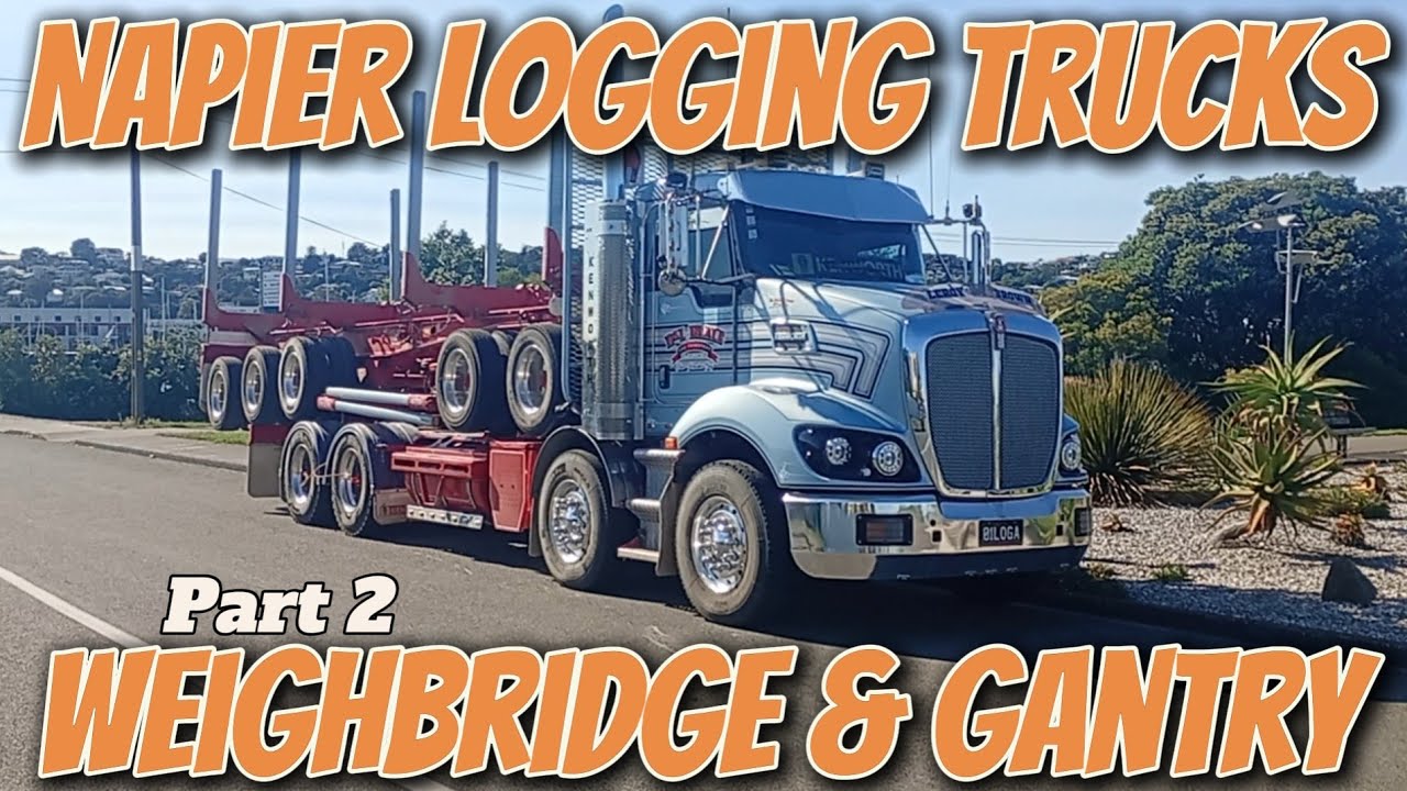 NAPIER LOGGING TRUCKS - Weighbridge & Gantry - Part 2 🚛🇳🇿