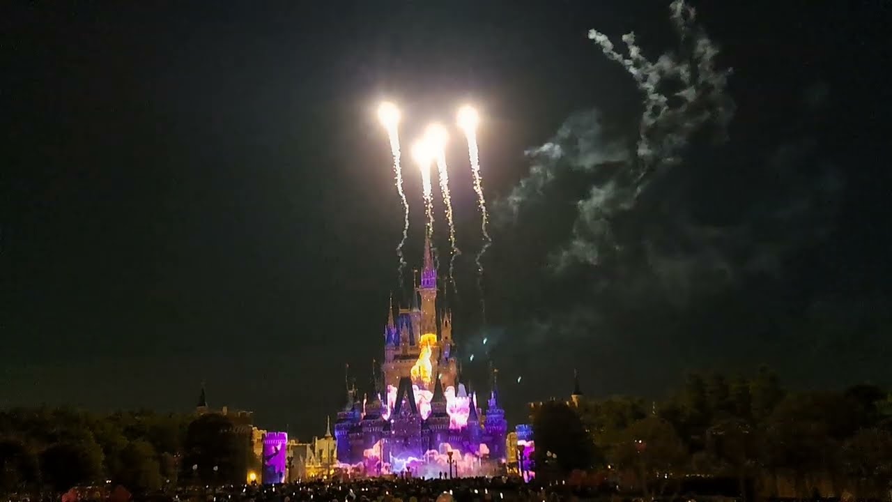 Reach for the Stars