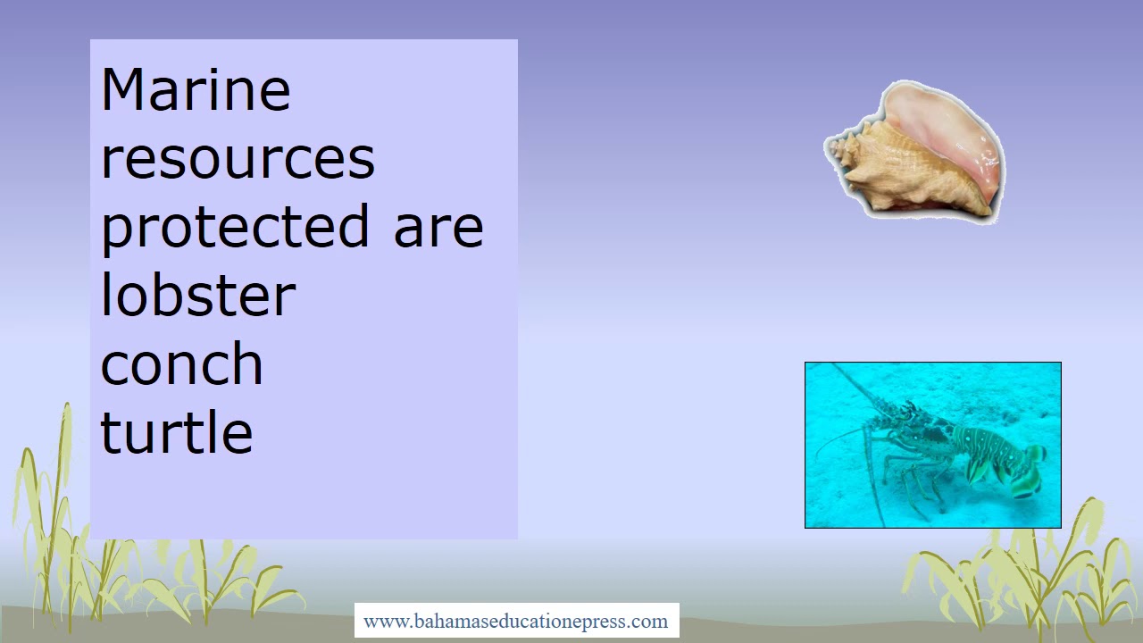 Protecting our marine resources part 1