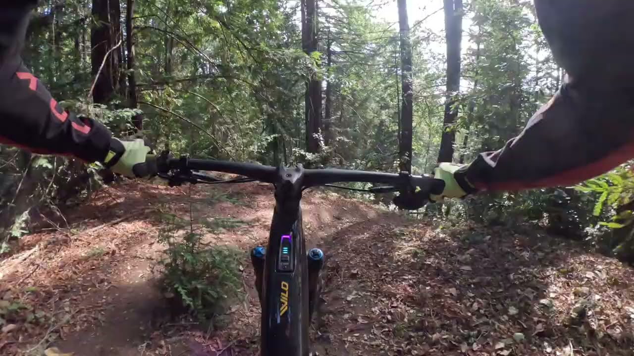 Nisene MTB - Sideshow 2024/11