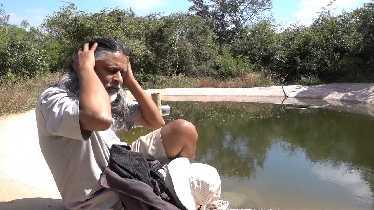 Hydrologic Effects of Reforestation in India