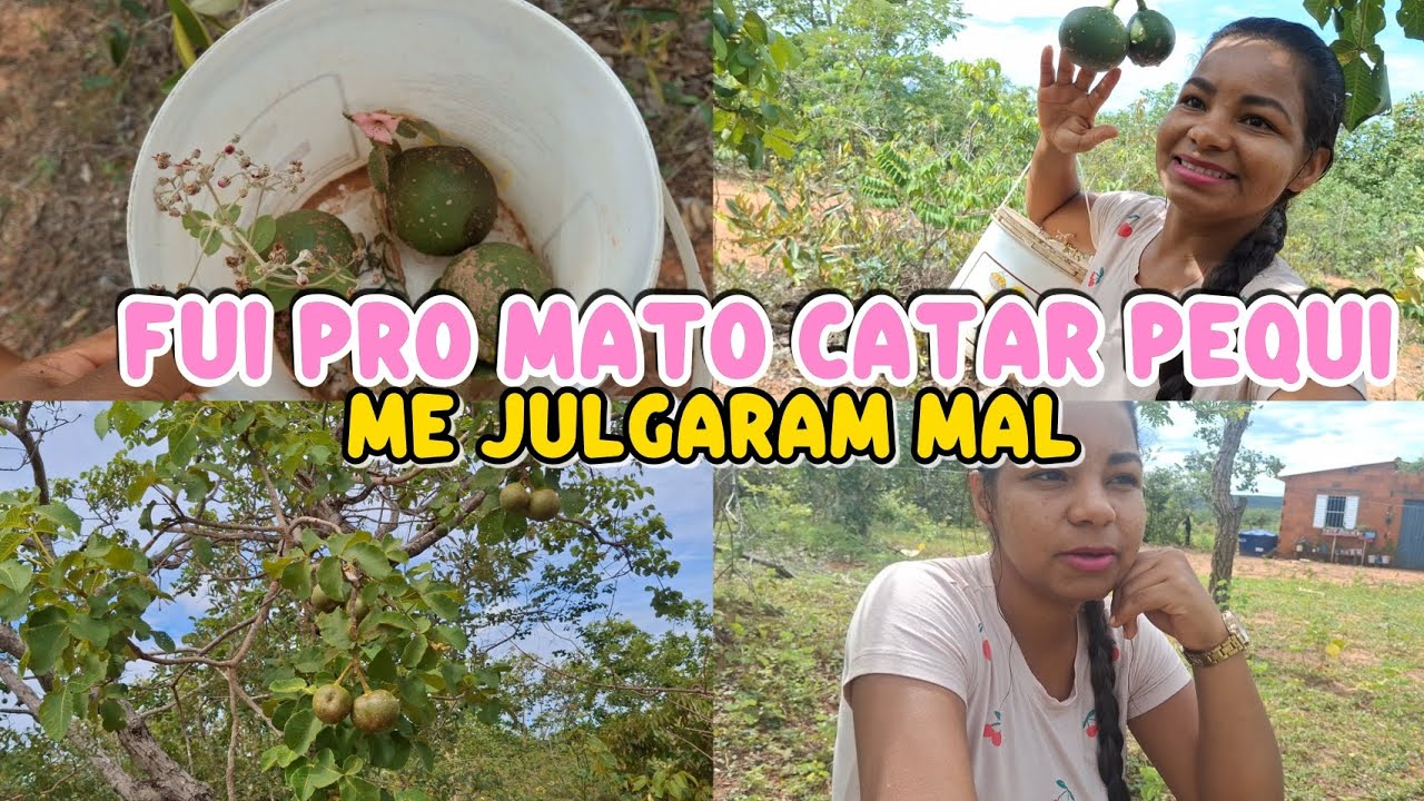 FUI catar PEQUI fiz um desabafo me julgaram sem saber || VIDA NA ROÇA 