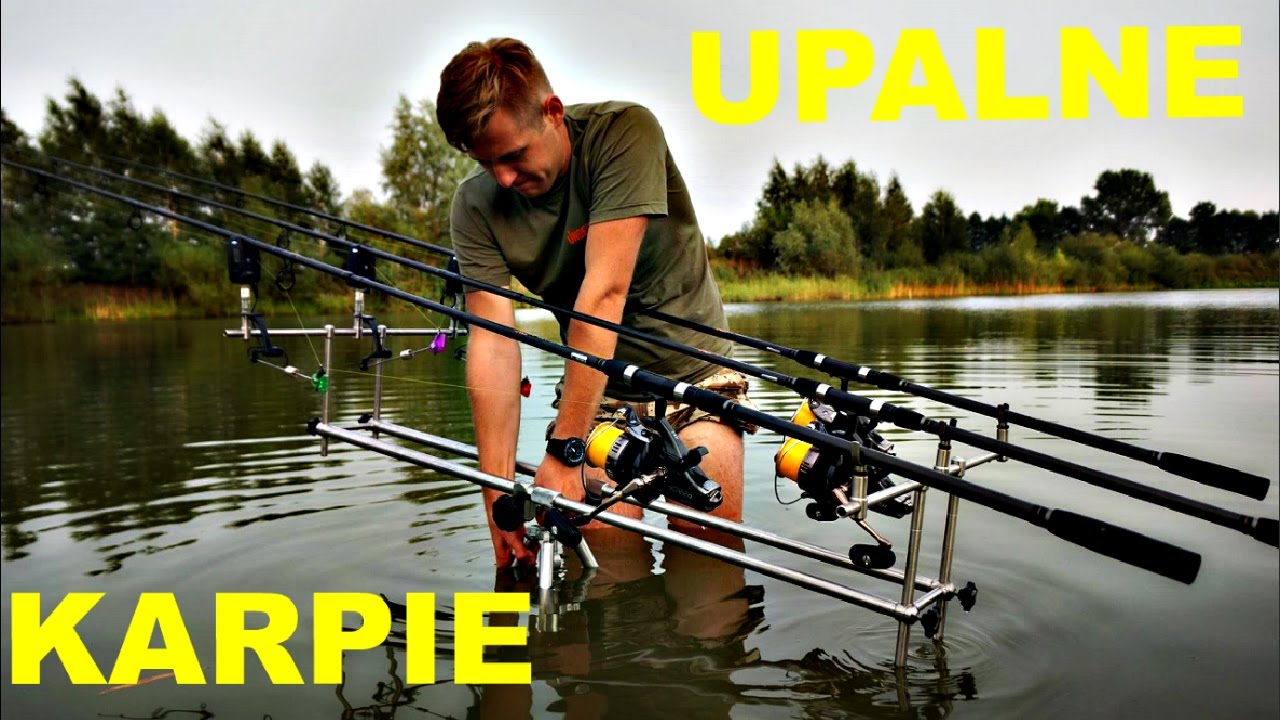 Upalne karpie - Łowienie karpi latem