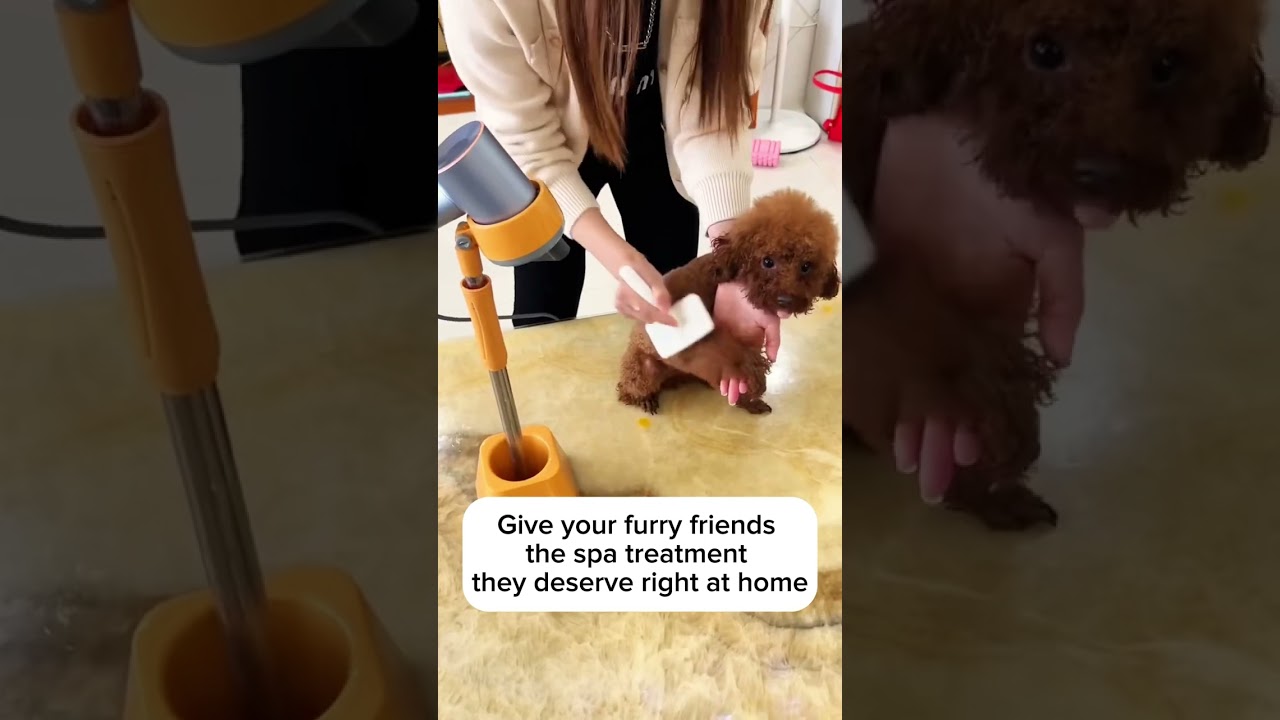 Embrace the joy and effortlessness of grooming your fur friend! 