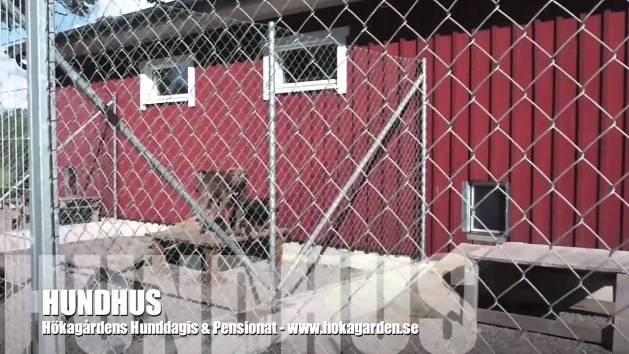 H&Ouml;KAG&Aring;RDENS HUNDDAGIS & PENSIONAT - hundhus med g&auml;ster