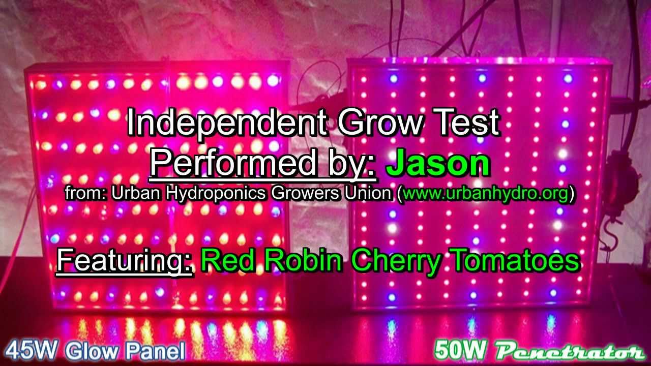50W Penetrator vs 45W Glow Panel LED Grow Light Test