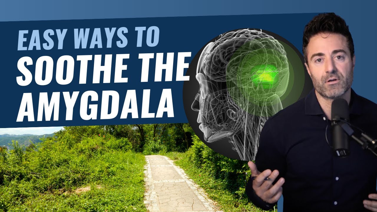 How to Calm the Amygdala in 3 Simple Ways