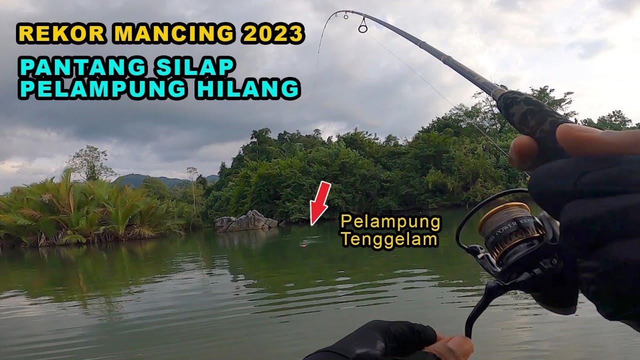 Mancing Kakap Merah Bakau Pakai Pelampung Umpan Udang Hidup