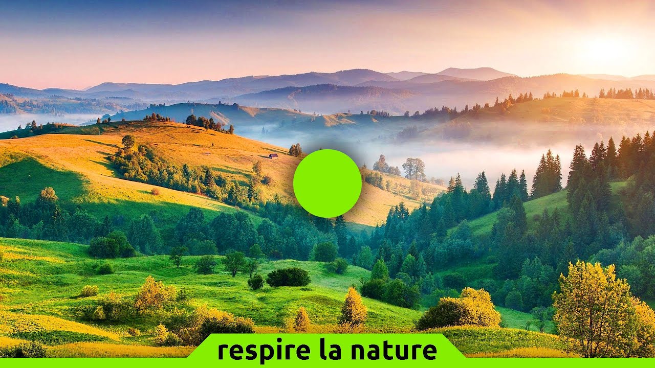 🟢 Cohérence cardiaque exercice n°141 | Nature paisible | 5 min