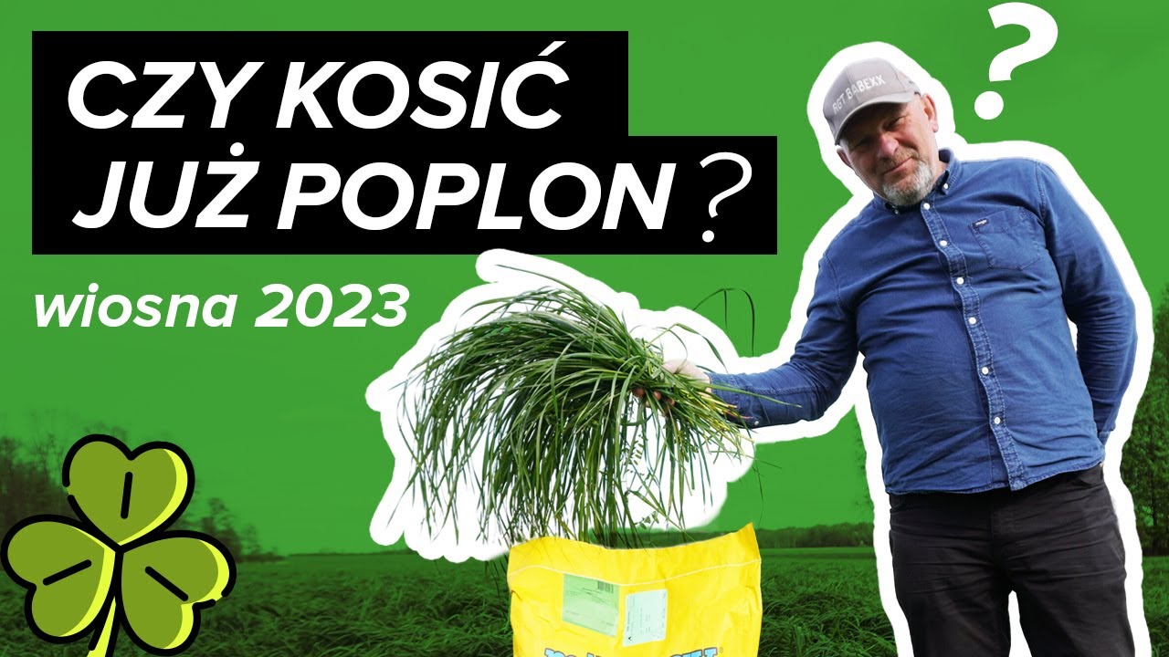 POPLON przed koszeniem na wiosnę ☆ Maj 2023 ☘️💪 MIFARM