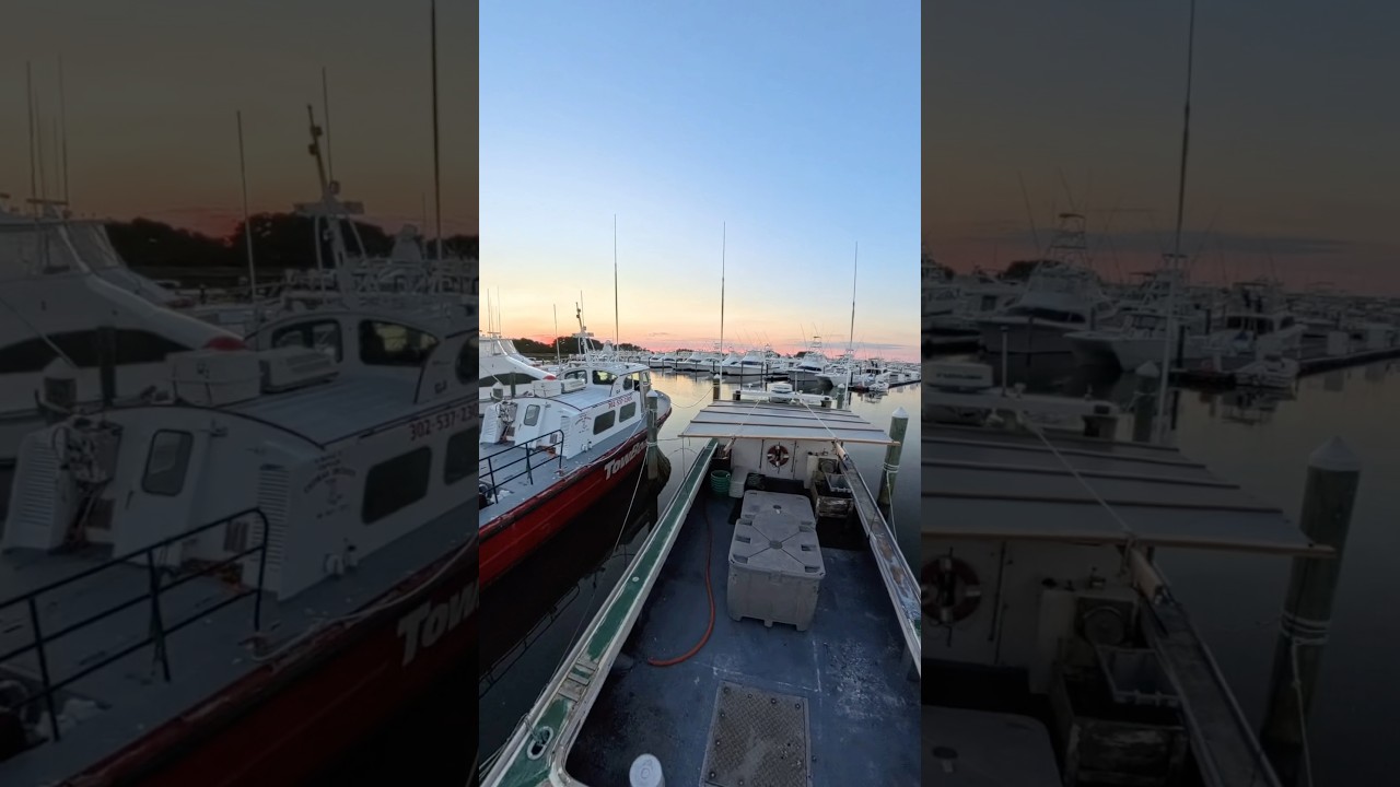 Checking out the boats at the Indian River Marina in Delaware 🙌 #boat #marina #delaware