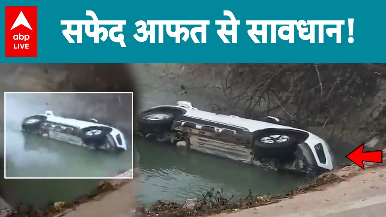 UP News: कोहरे के कारण Lucknow में दर्दनाक सड़क हादसा! |ABPLIVE