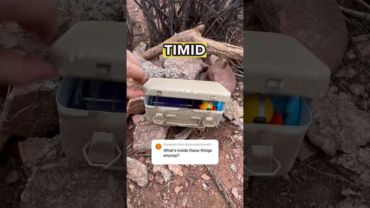 What is inside of a cache? Watch this to find out! 👀