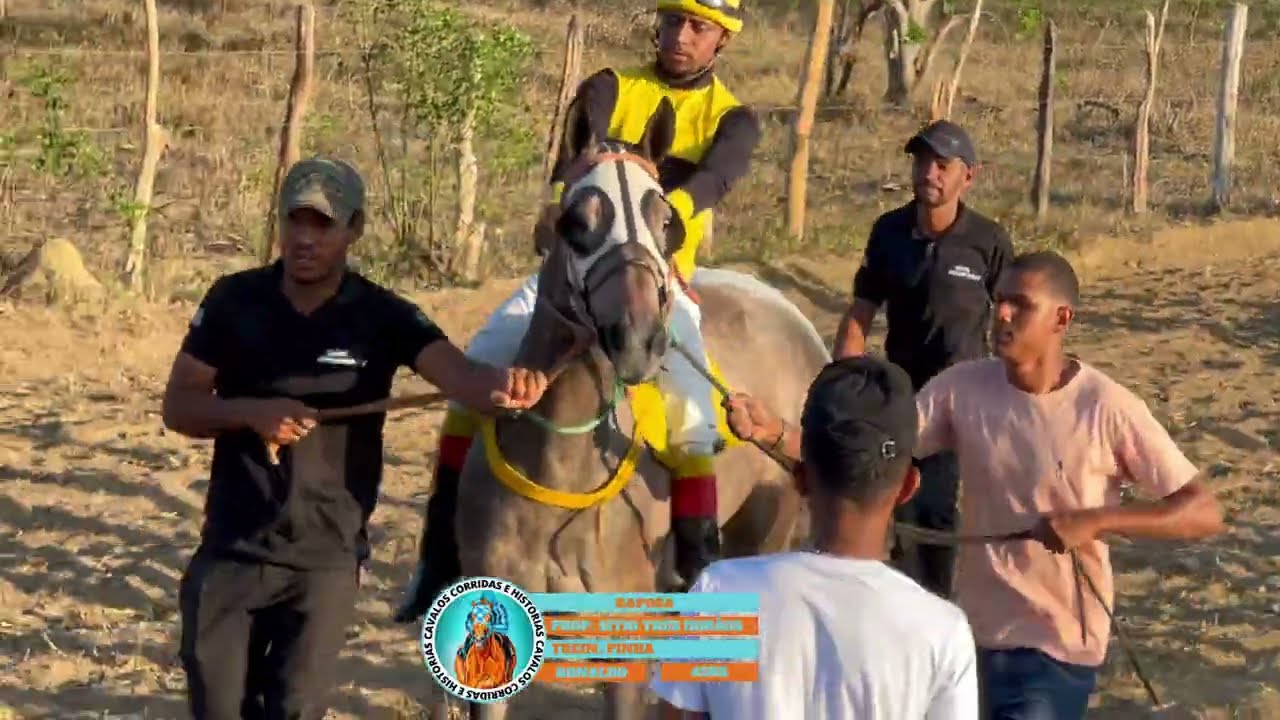 RAPOSA: Corrida de Cavalo em PORTO FELIZ - Piritiba, Bahia, #cavaloscorridasehistorias 