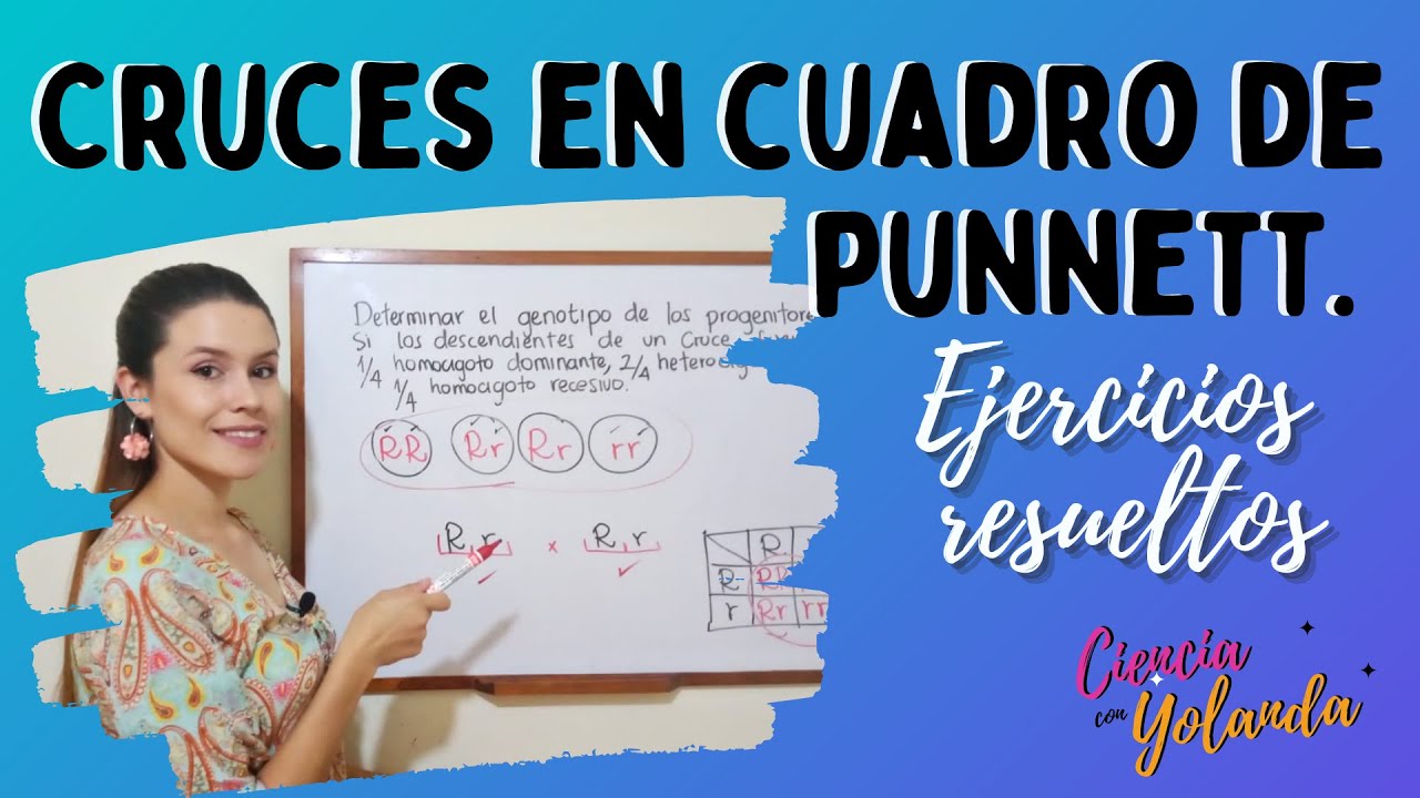 Cruce monohíbrido, cuadro de Punnett ¿Cuál es el genotipo?🤔. Ejercicios de genética Mendel resueltos