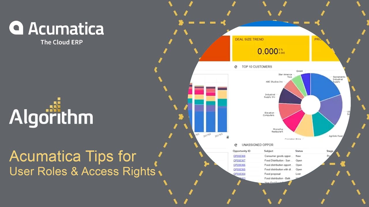 Acumatica Tips for User Roles and Access Rights