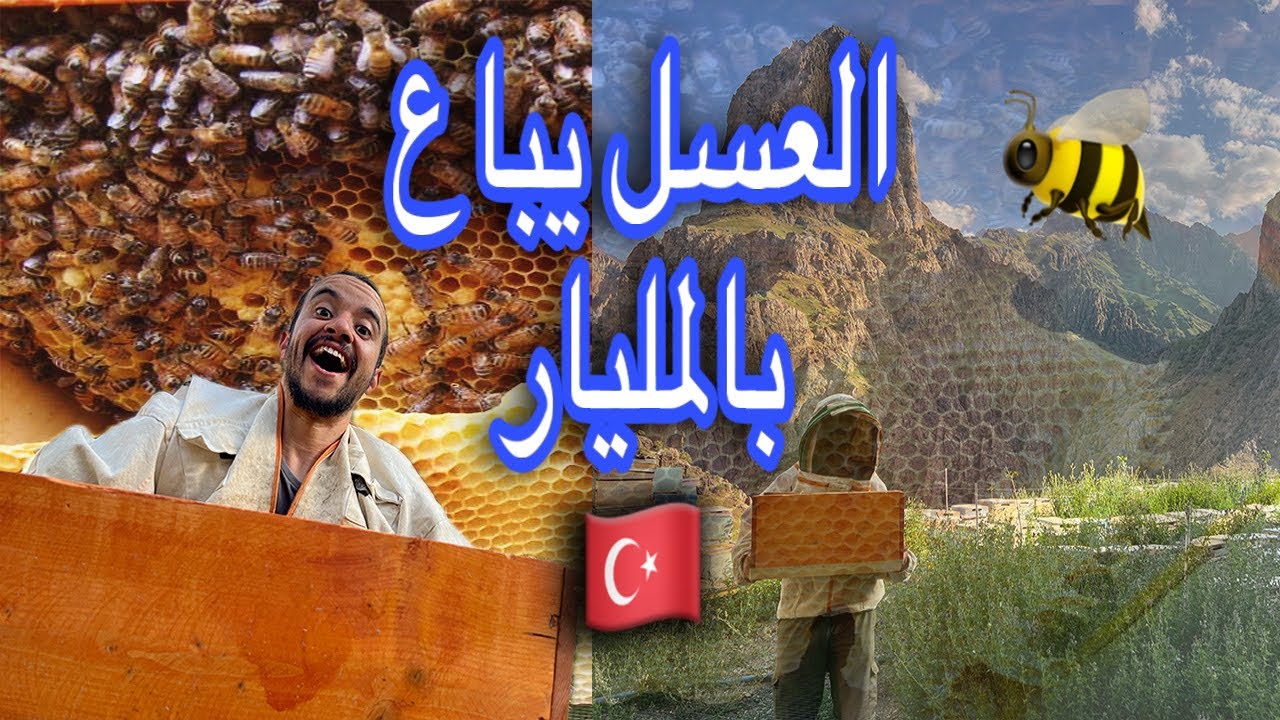جبال  cilo الكردية من أجمل الأماكن التي زرتهم لحد الأن 🇹🇷 vlog44