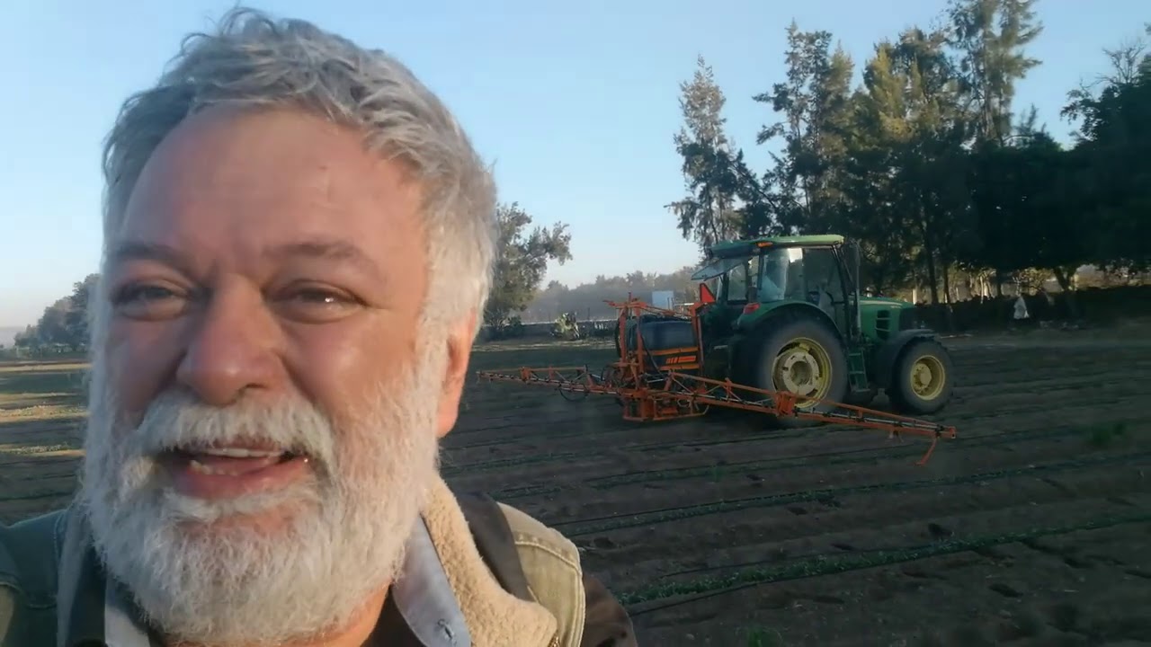 Atider maiz de Alto Rendimiento 2020,  de  V2 a V4 entre el 14 y el 30 de 2020