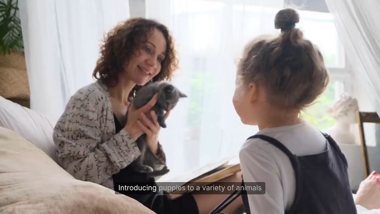 Социализация щенков: чего вам не хватает 🐕👯‍♂️