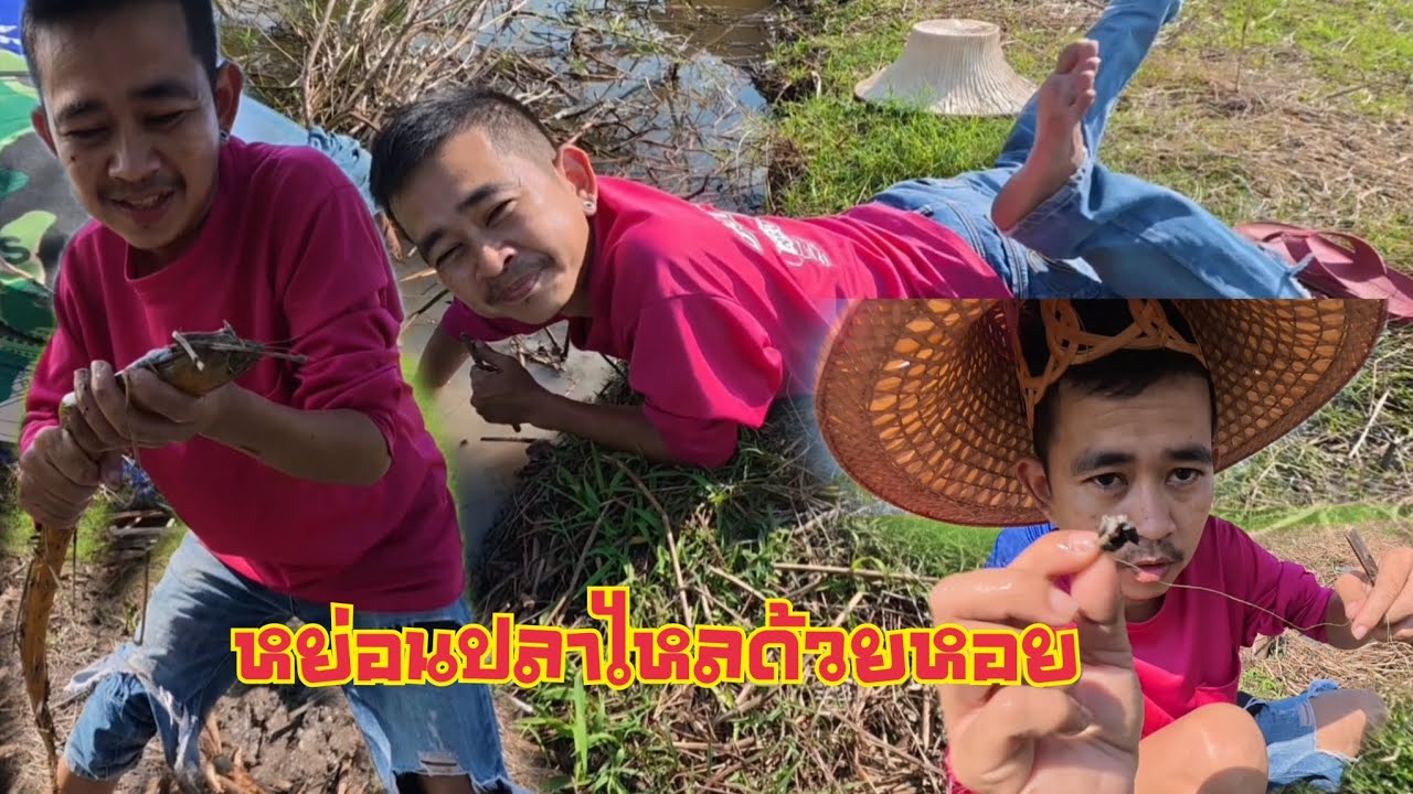 หาหย่อนปลาไหล