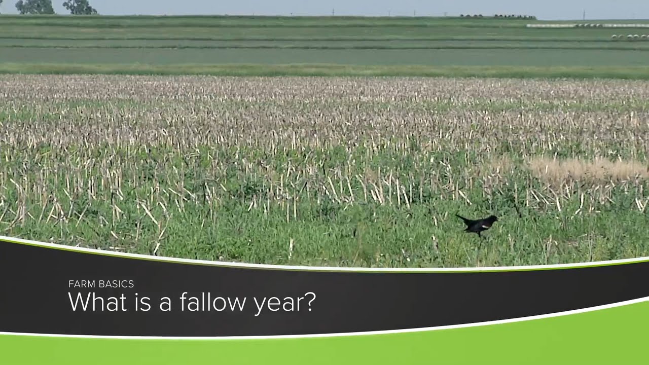 Farm Basics #1218 What Is A Fallow Year? (Air Date 8-8-21)