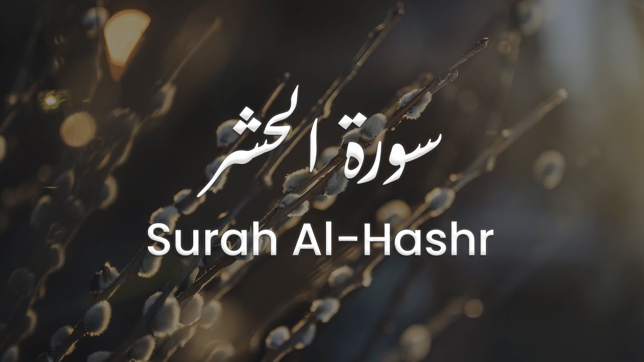 سورة الحشر للشيخ علي البراق | المصحف المرتل