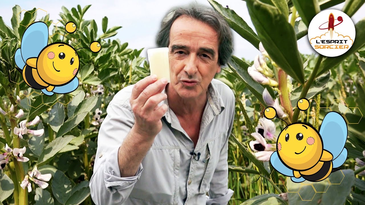 Comment fabriquer du 